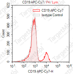 Anti-CD19 Antibody-APC-Cy7 (SJ25-C1)