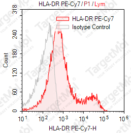 Anti-HLA-DR Antibody-PE-Cy7 (L243)