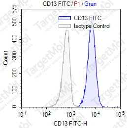 Anti-CD13 Antibody-FITC (B-F10)