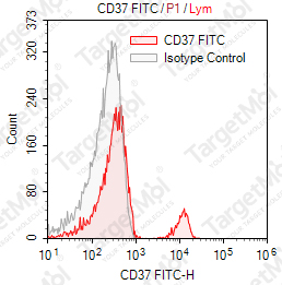 Anti-CD37 Antibody-FITC (IPO-24)