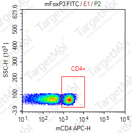 Anti-FOXP3 Antibody-FITC (MF-14)