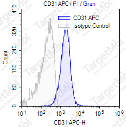 Anti-CD31 Antibody-APC (158-2B3)