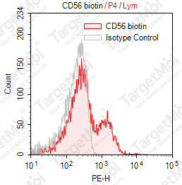 Anti-CD56 Antibody-Biotin (MY31)