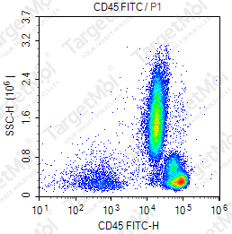 Anti-CD45 Antibody-FITC (9.4)