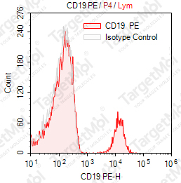 Anti-CD19 Antibody-PE (HIB19)