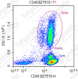 Anti-CD45 Antibody-BZY515 (9.4)