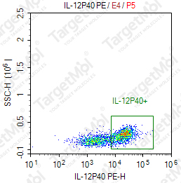 Anti-IL-12p40 Antibody-PE (ABT-874)