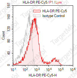 Anti-HLA-DR Antibody-PE-Cy5 (LN3)