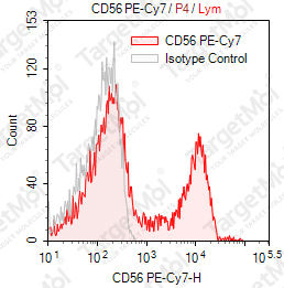 Anti-CD56 Antibody-PE-Cy7 (MY31)
