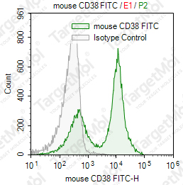 Anti-CD38 Antibody-FITC (90)