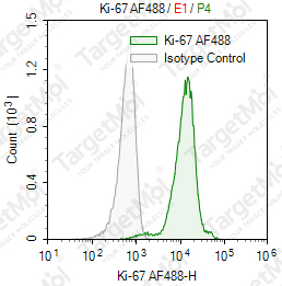 Anti-Ki-67 Antibody-AF488 (Ki-67)