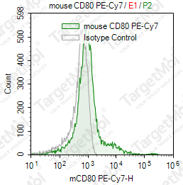 Anti-CD80 Antibody-PE-Cy7 (16-10A1)