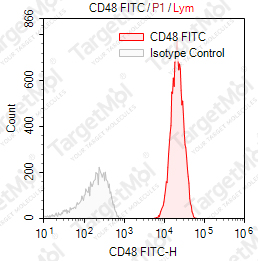 Anti-CD48 Antibody-FITC (156-4H9)