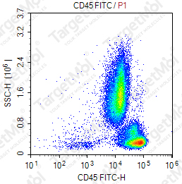 Anti-CD45 Antibody-FITC (2D1)