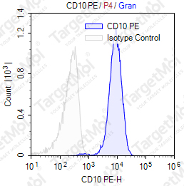 Anti-CD10 Antibody-PE (CB-CALLA)