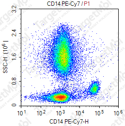 Anti-CD14 Antibody-PE-Cy7 (61D3)