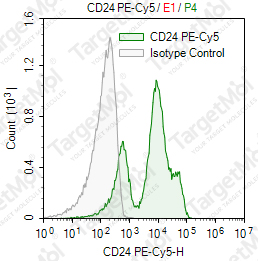 Anti-CD24 Antibody-PE-Cy5 (91)