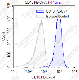 Anti-CD10 Antibody-PE-Cy7 (SN5C)
