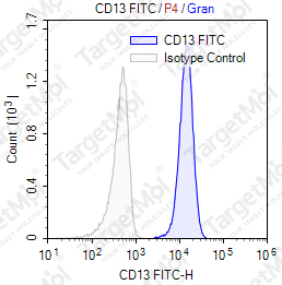 Anti-CD13 Antibody-FITC (22A5)