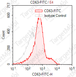 Anti-CD63 Antibody-FITC (H5C6)