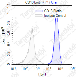 Anti-CD13 Antibody-Biotin (46A11E3)