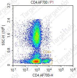 Anti-CD4 Antibody-AF700 (Riv7)