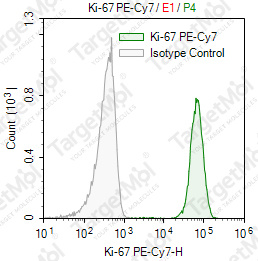 Anti-Ki-67 Antibody-PE-Cy7 (Ki-67)