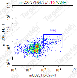 Anti-FOXP3 Antibody-PE (3G3)