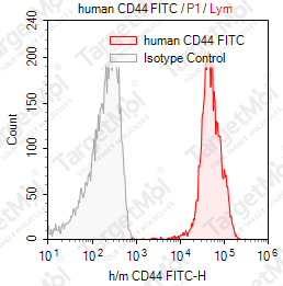 Anti-CD44 Antibody-FITC (IM7)