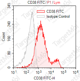 Anti-CD38 Antibody-FITC (AT-1)