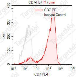 Anti-CD7 Antibody-PE (T3-3A1)