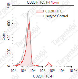 Anti-CD20 Antibody-FITC (2H7)