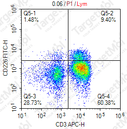 Anti-CD226 Antibody-FITC (FMULeoA1)