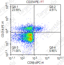 Anti-CD314 Antibody-PE (1D11)