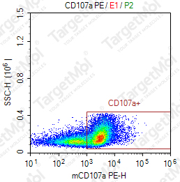 Anti-CD107a Antibody-PE (1D4B)