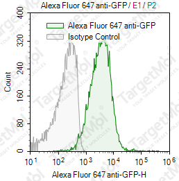 Anti-GFP Antibody-AF647 (FMUGFP-5)