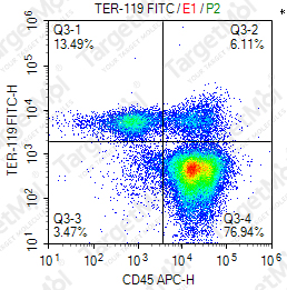 Anti-TER-119 Antibody-FITC (TER-119)