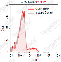 Anti-CD57 Antibody-Biotin (HNK-1)