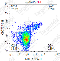 Anti-CD273 Antibody-PE (24F.10C12)