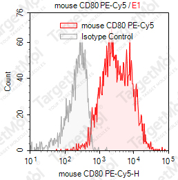 Anti-CD80 Antibody-PE-Cy5 (1G10)