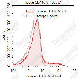 Anti-CD11c Antibody-AF488 (N418)
