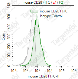 Anti-CD28 Antibody-FITC (37.51)