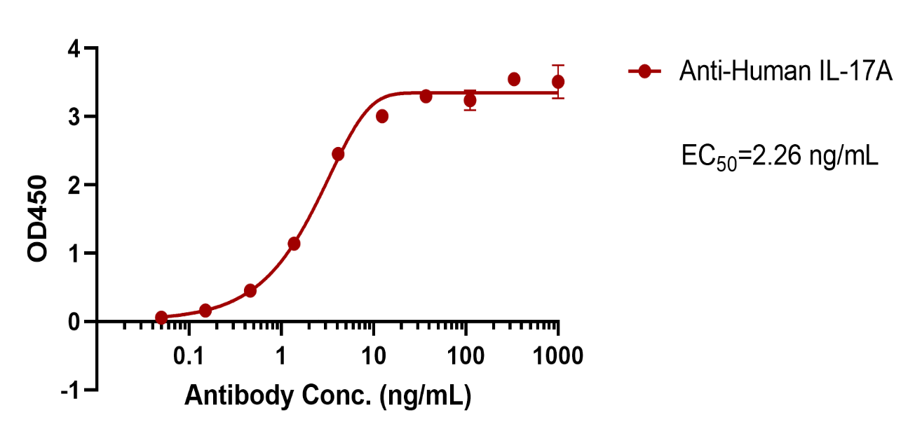 Anti-Human IL-17A