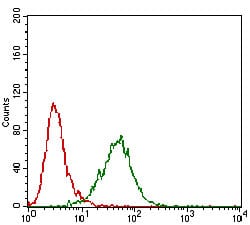 Anti-MMEL1 Monoclonal Antibody (6X470)