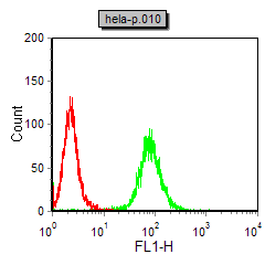 Anti-MMP9 Monoclonal Antibody (8V209)