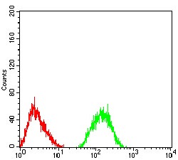 Anti-GRM7 Monoclonal Antibody (2S665)