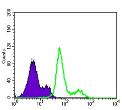 Anti-PDK1 Monoclonal Antibody (6Y935)