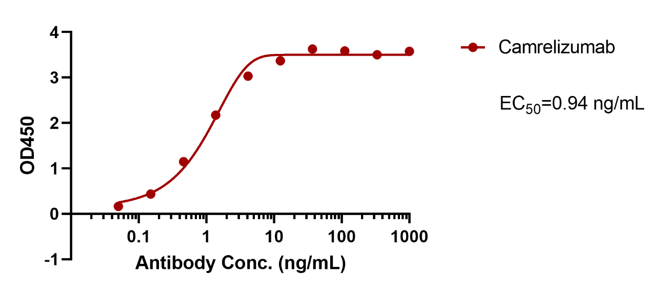 Camrelizumab