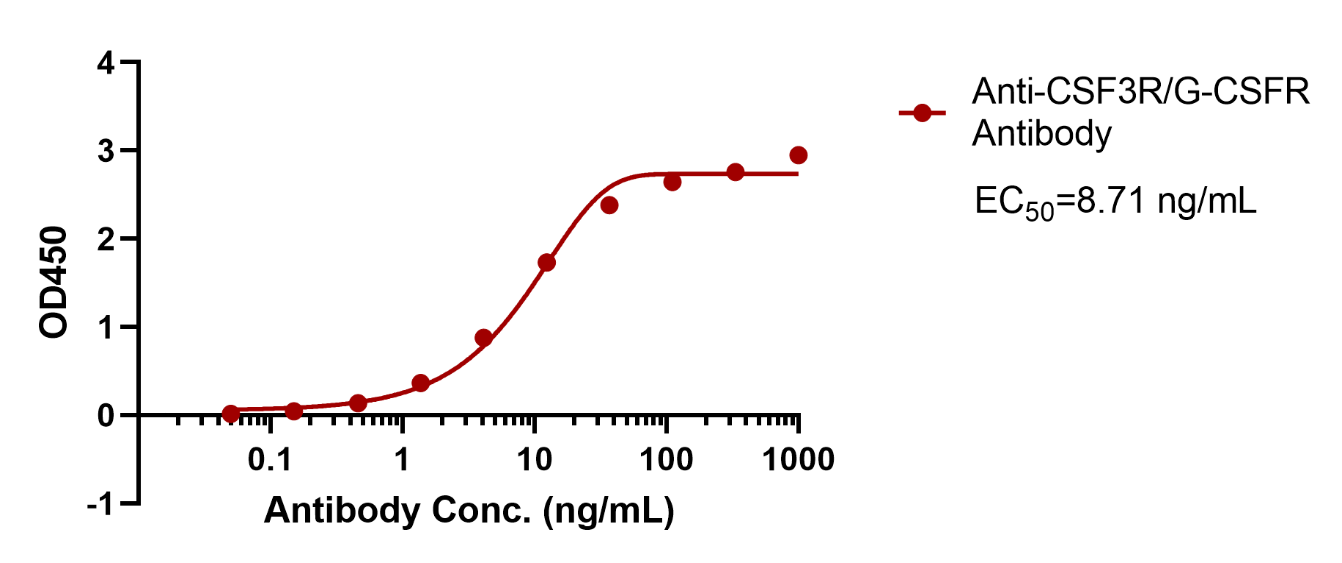 Anti-CSF3R/G-CSFR Antibody