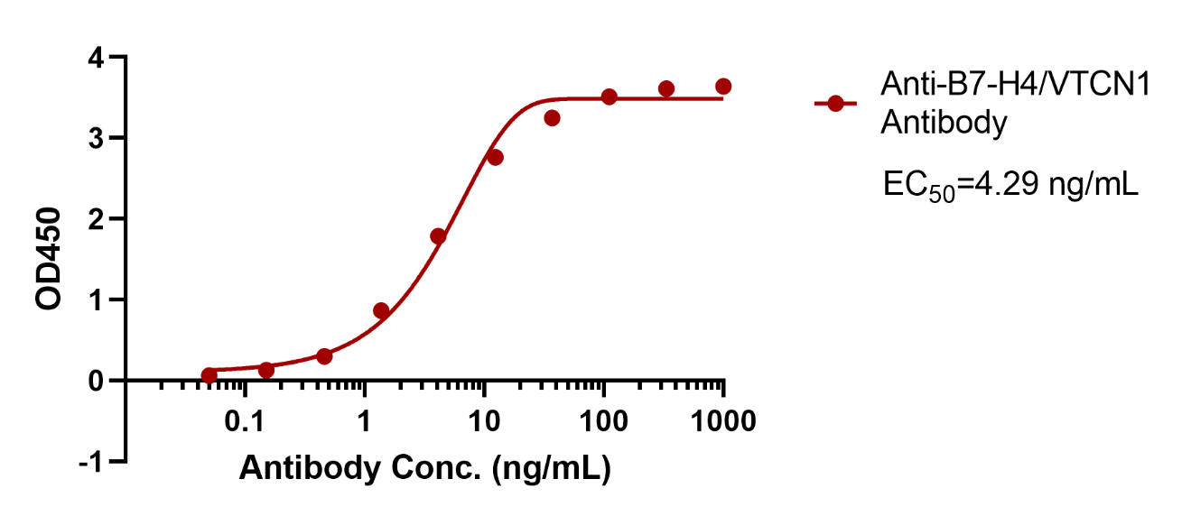 Anti-B7-H4/VTCN1 Antibody